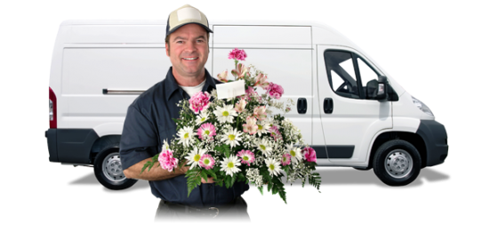 Cream and Browns Florist - Flower Delivery in Middlesbrough