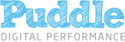 Puddle Digital Logo