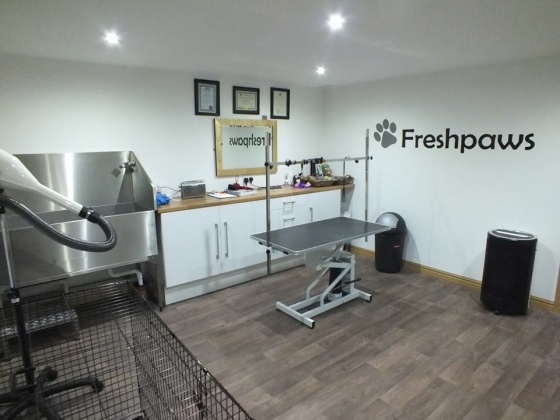 FreshPaws - Full Grooms_Sutton Coldfield