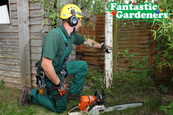 Fantastic Gardeners - Tree Surgery