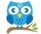 Owlet Carpet Care Logo