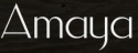 Amaya.biz Logo