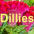 Dillies Logo