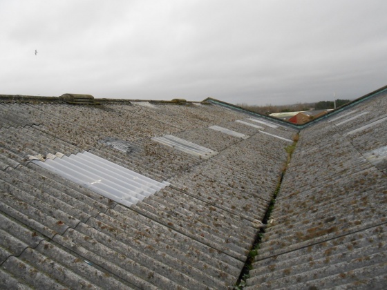 Asbestos Surveys & Advice - Asbestos roofing sheets