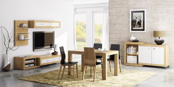 Funique Furniutre - Modern Living Room Furniture