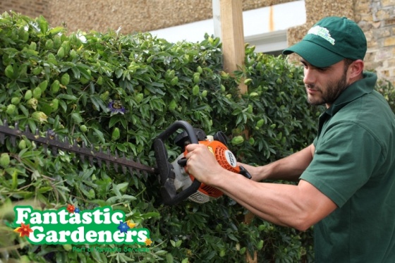Fantastic Gardeners - Gardening Services