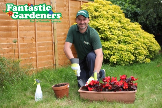 Fantastic Gardeners - Gardeners