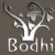 Bodhi Clinic Logo