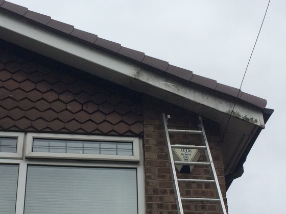 GutterArt - dry edges, pvc and gutter clean in stockport