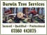 Darwin Tree Services Logo