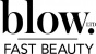 blow LTD Logo