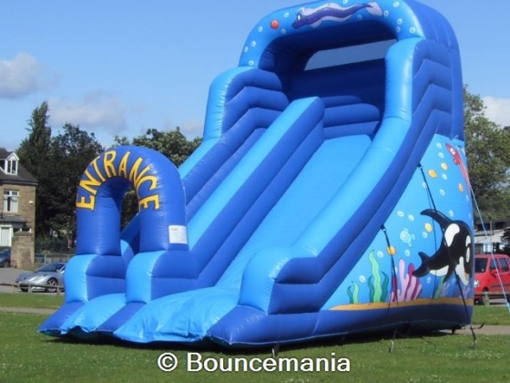 Bouncemania Inflatables - Large Slide