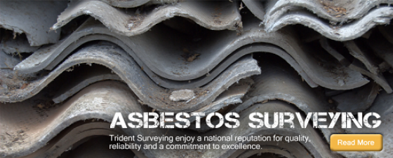 Trident Surveying Ltd. - Asbestos Survey UK
