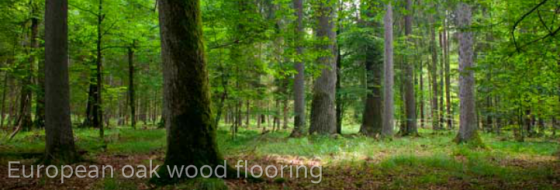 Tomson Floors - European oak flooring